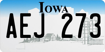 IA license plate AEJ273