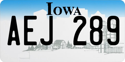 IA license plate AEJ289