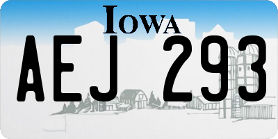 IA license plate AEJ293