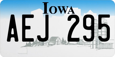 IA license plate AEJ295