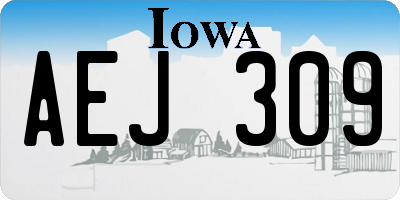 IA license plate AEJ309