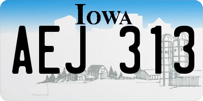 IA license plate AEJ313