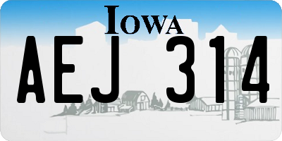 IA license plate AEJ314