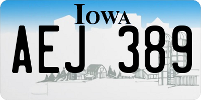 IA license plate AEJ389