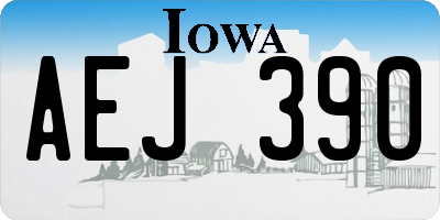 IA license plate AEJ390