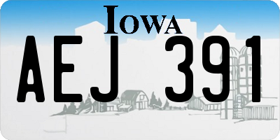 IA license plate AEJ391