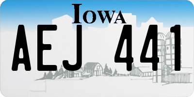 IA license plate AEJ441
