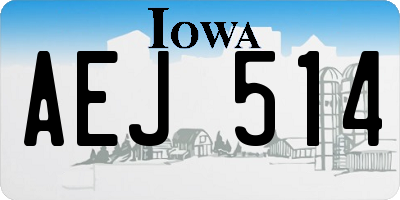 IA license plate AEJ514