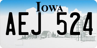 IA license plate AEJ524