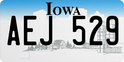 IA license plate AEJ529
