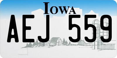 IA license plate AEJ559
