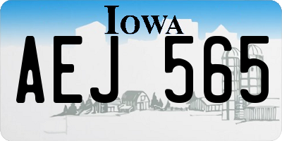 IA license plate AEJ565