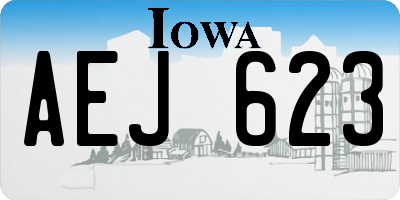 IA license plate AEJ623