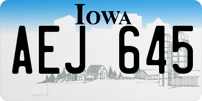 IA license plate AEJ645
