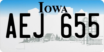 IA license plate AEJ655
