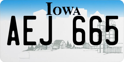 IA license plate AEJ665