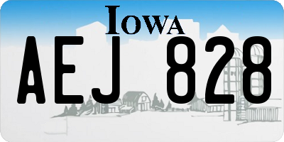 IA license plate AEJ828