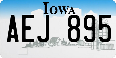 IA license plate AEJ895