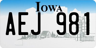 IA license plate AEJ981