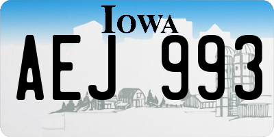IA license plate AEJ993