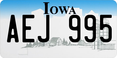 IA license plate AEJ995