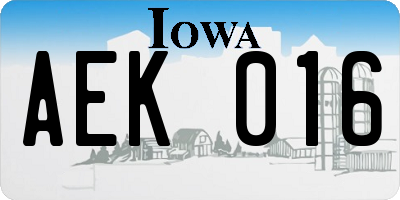 IA license plate AEK016