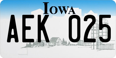 IA license plate AEK025