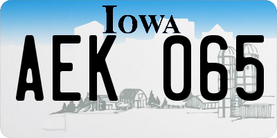 IA license plate AEK065