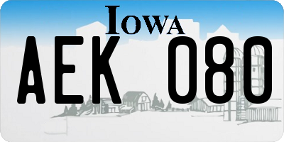 IA license plate AEK080