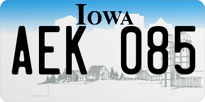 IA license plate AEK085