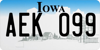 IA license plate AEK099