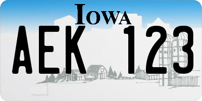 IA license plate AEK123