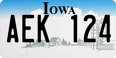 IA license plate AEK124