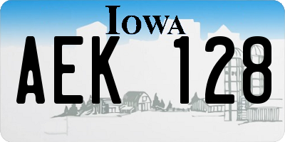 IA license plate AEK128