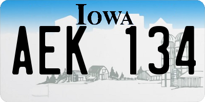 IA license plate AEK134