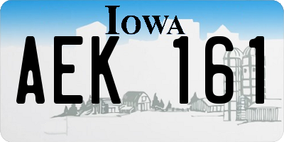 IA license plate AEK161