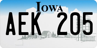 IA license plate AEK205