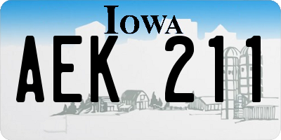 IA license plate AEK211