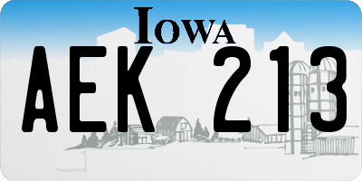 IA license plate AEK213