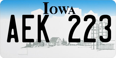 IA license plate AEK223