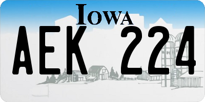 IA license plate AEK224