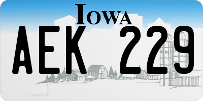 IA license plate AEK229