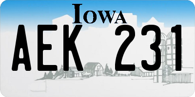 IA license plate AEK231