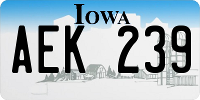 IA license plate AEK239