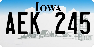 IA license plate AEK245