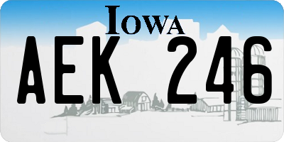 IA license plate AEK246