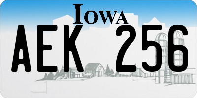 IA license plate AEK256