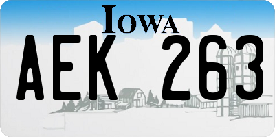 IA license plate AEK263