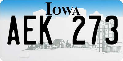 IA license plate AEK273