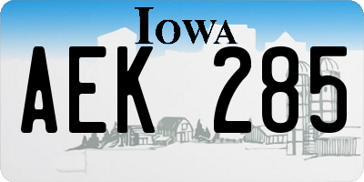 IA license plate AEK285